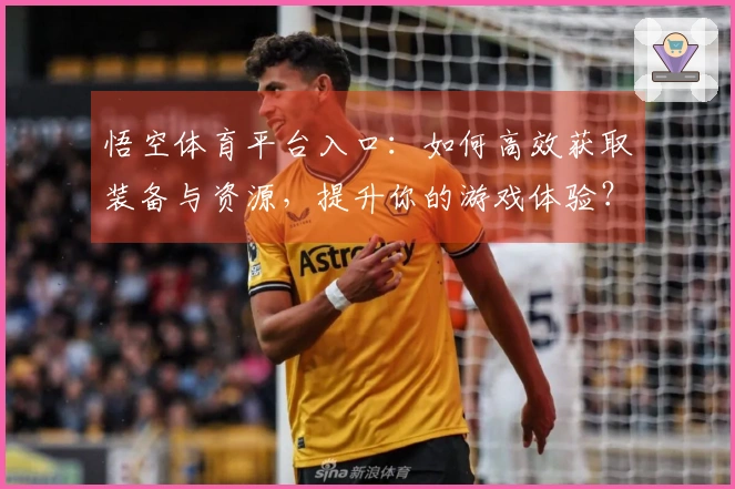 悟空体育平台入口：如何高效获取装备与资源，提升你的游戏体验？