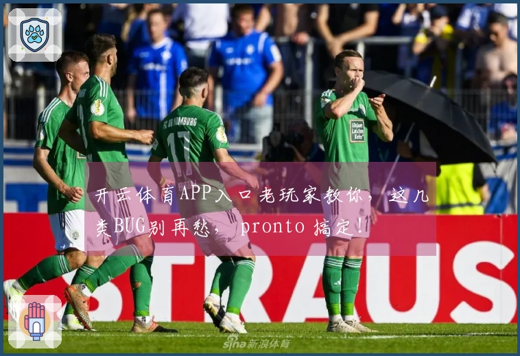 开云体育APP入口老玩家教你，这几类BUG别再愁， pronto 搞定！