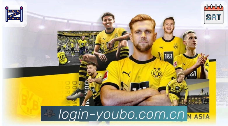 友博体育 品牌合作